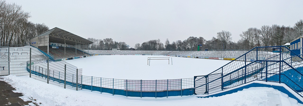 瑞典滑雪队