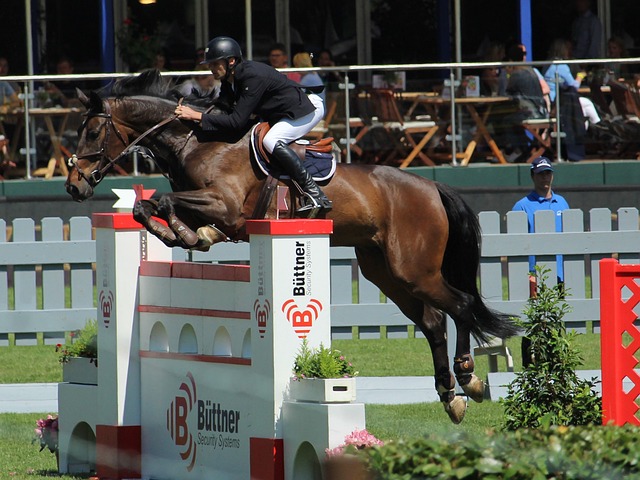 内的触球次 内的触球次