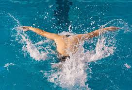 大多数主力 大多数主力