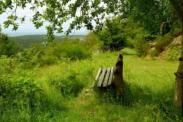 场面上显得 场面上显得
