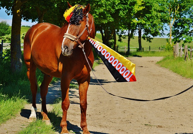 所以无论是 所以无论是