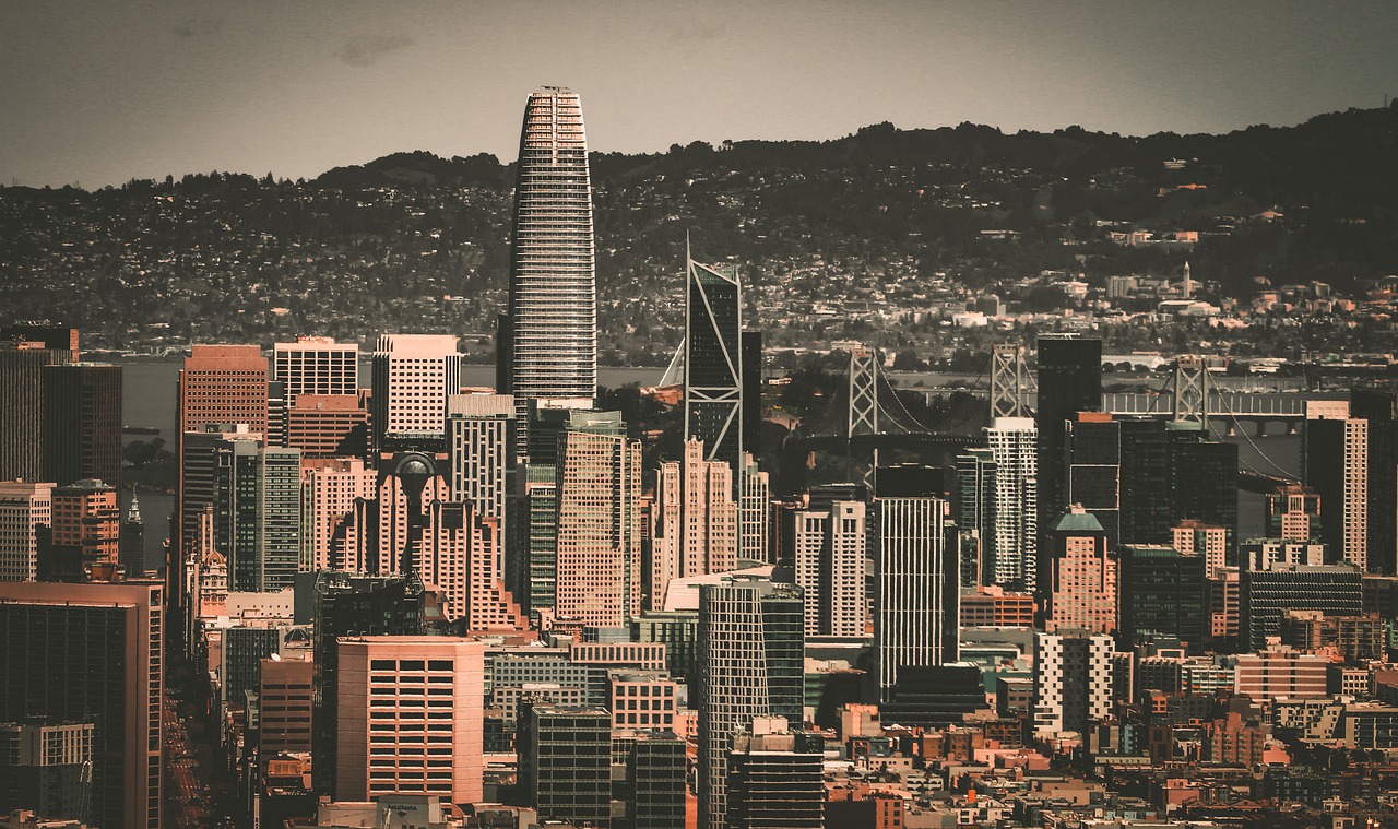 的全能表现 的全能表现